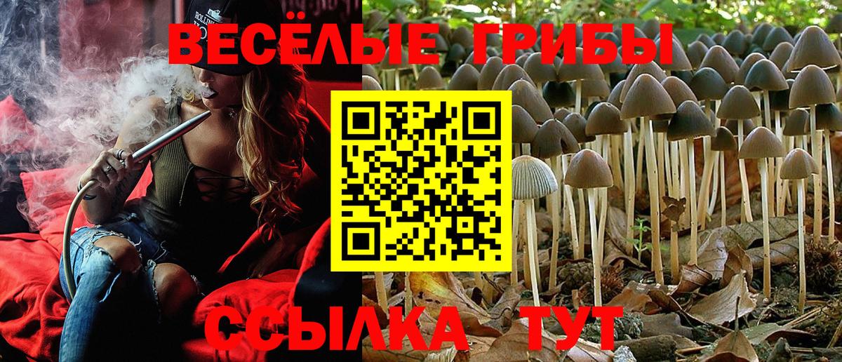 Галлюциногенные грибы Magic Shrooms  Вход с VPN  Шарыпово  Псилоцибиновые грибы GOLDEN TEACHER 